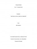 PLAN DE ACCIÓN Programa de Psicologia