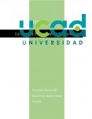 La Familia El Parentesco Y Sus Clases