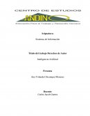 Sistemas de Información. Derechos de Autor