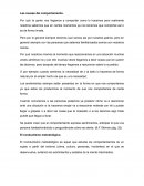 Las causas del comportamiento