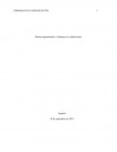 Párrafo argumentativo: Embarazo en Adolescentes
