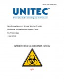 RESIDUOS PELIGROSOS BIOLOGICOS INFECCIOSOS