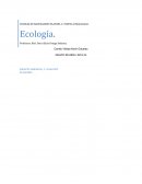 IMPACTO AMBIENTAL, C. CLIMATICO