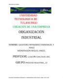 Creación de una empresa ORGANIZACIÓN INDUSTRIAL