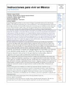 Novela literaria | General narrativa literaria