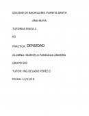 TUTORIAS FISICA 2 PRACTICA: DENSIDAD