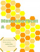 Analisis foda para exportar juguetes de madera hacia el mercado americano