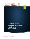 Actividad de aprendizaje: Vicios de la voluntad, la lesión