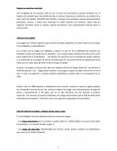 Pulgas en nuestras mascotas