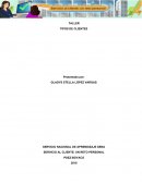 TALLER TIPOS DE CLIENTES