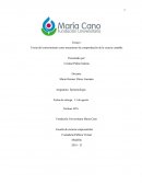 Teoría del conocimiento como mecanismo de comprobación de la ciencia contable