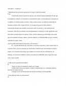 Identificación de las lesiones que ponen en riesgo la vida del lesionado