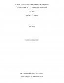 Optimizacion cadena de suministros