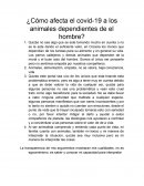 ¿Cómo afecta el covid-19 a los animales dependientes de el hombre?