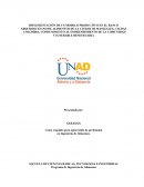 IMPLEMENTACIÓN DE UN MODELO PRODUCTIVO