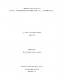 FE PUBLICA Y RESPONSABILIDAD PROFESIONAL DE LA REVISORIA FISCAL