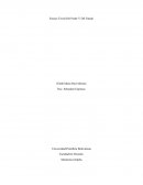 Ensayo Teoría Del Poder Y Del Estado