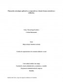 Tipo de empresas solidarias en America Latina