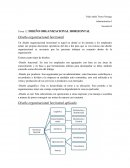 DISEÑO ORGANIZACIONAL HORIZONTAL