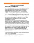 TRABAJO PRACTICO MACROECONOMIA