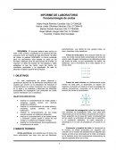 INFORME DE LABORATORIO . Fenomenología de ondas