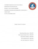 Determinar si existe la desigualdad y violencia de género en la UMG