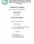 Trabajo practico domiciliario Socilogia