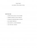 Caso Aplicativo: Platos Andinos a la Mesa