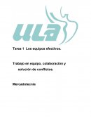 Tarea 1 los equipos efectivos
