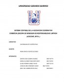 SISTEMA CONTABLE DE LA ASOCIACION COOPERATIVA COMERCIALIZADORA DE HENEQUEN DE RESPONSABILIDAD LIMITADA (ACOCOHE, DE R.L.)
