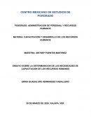ENSAYO SOBRE LA DETERMIANCION DE LAS NECESIDADES DE CAPACITACION DE LOS RECURSOS HUMANOS
