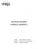 MICROECONOMÍA TRABAJO SEMANA 2