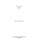 Mi proyecto de vida Mi DOFA