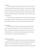 Discriminación hacia las personas que hablan la lengua maya