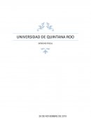 ENSAYO DE LA EXPOSICION DE MOTIVOS DE LA LEY DE INGRESOS DEL MUNICIPIO DE OTHÓN P. BLANCO