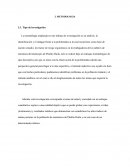 METODOLOGIA municipio de Pitalito Huila