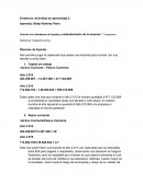 Evidencia: Actividad de aprendizaje. Indices financieros