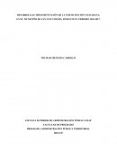 DESARROLLO E IMPLEMENTACIÓN DE LA PARTICIPACIÓN CIUDADANA, EN EL MUNICIPIO DE SAN LUIS TOLIMA