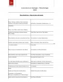 Placas litosféricas – Mapa de placas del mundo