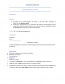 SECUENCIA DIDACTICA CÁLCULOS MENTALES Y SUMAS