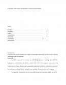 Seguridad. Conceptos sobre riesgos profesionales y técnicas de prevención