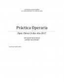 Práctica Operaria