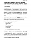Análisis descriptivo de las características del contrato laboral