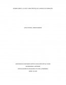 INFORME SOBRE EL CV UDES Y CARACTERÍSTICAS DE SU MODELO DE FORMACIÓN