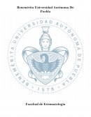 Obesidad infantil y su relación con caries dental en edades tempranas