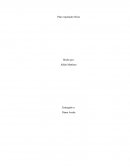 Plan exportador flores