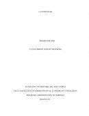 Actividad. Estrategia aplicada. Ejemplos de estrategias