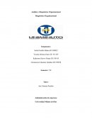 Análisis y Diagnóstico Organizacional. Diagnóstico Organizacional