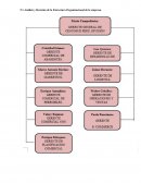 Análisis y Revisión de la Estructura Organizacional de la empresa