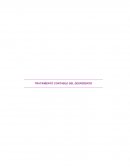 TRATAMIENTO CONTABLE DEL DESPERDICIO